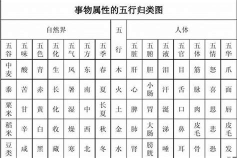 淳五行|淳字的五行属性